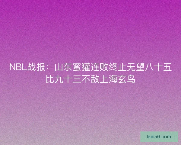 NBL战报：山东蜜獾连败终止无望八十五比九十三不敌上海玄鸟